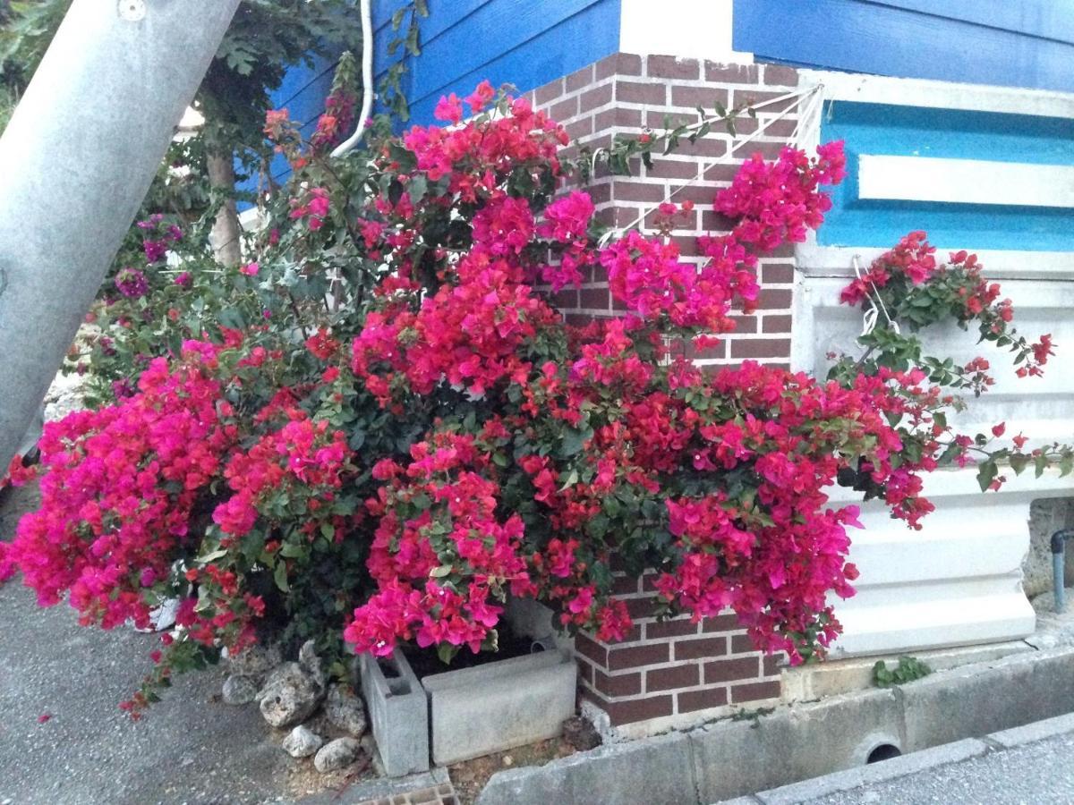 Sesoko Terrace 2 Minutes To The Beach Ocean View Motobu Exterior photo